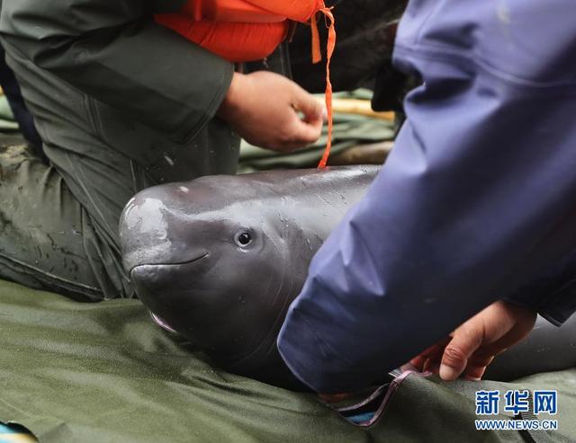 安全管家手机版下载2015款安全管家官网-第5张图片-太平洋在线下载 安全管家手机版下载2015款安全管家官网-第5张图片-太平洋在线下载