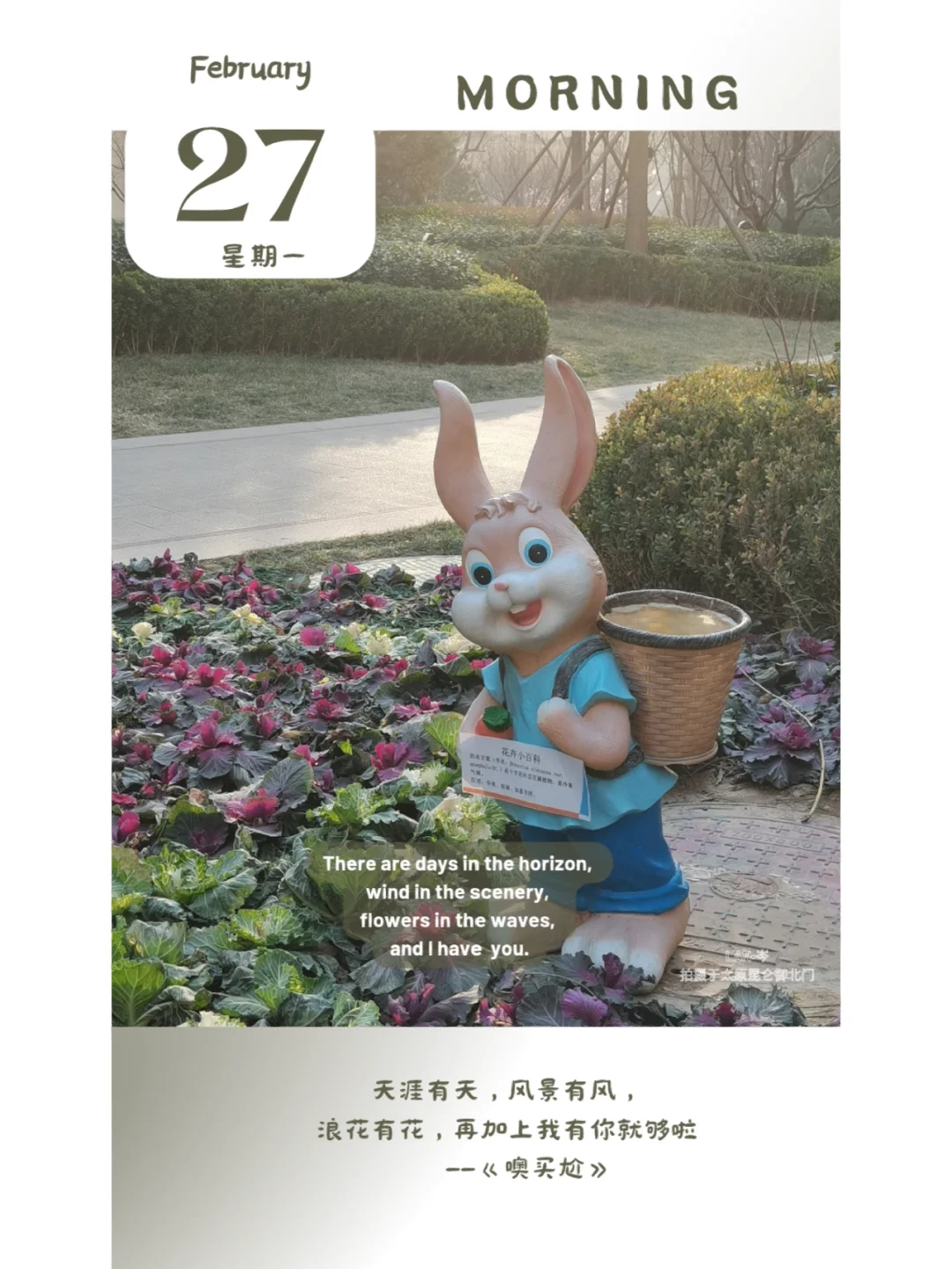 Windin安卓版wooting官网入口-第2张图片-太平洋在线下载