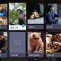 视频vip破解苹果版苹果testflight资源网站-第2张图片-太平洋在线下载