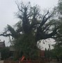 洪洞打林苹果版洪洞打林电脑版下载