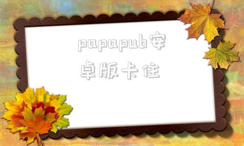 papapub安卓版卡住palipali轻量版永久网页电脑版