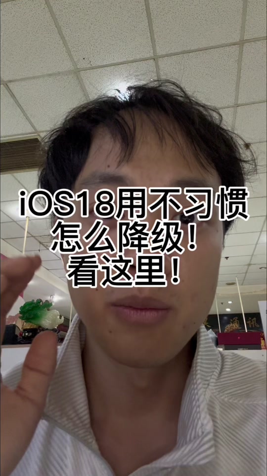 苹果内测版回降级ios可降级版本查询-第2张图片-太平洋在线下载