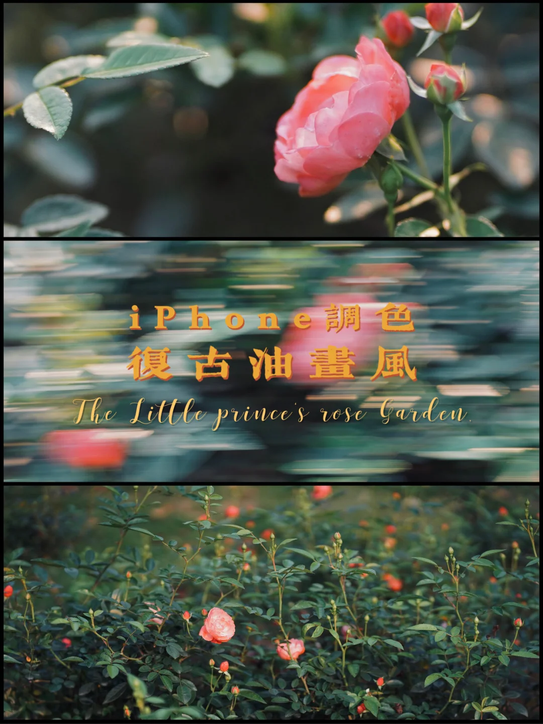 哈喽花苹果版鲜花直播苹果版