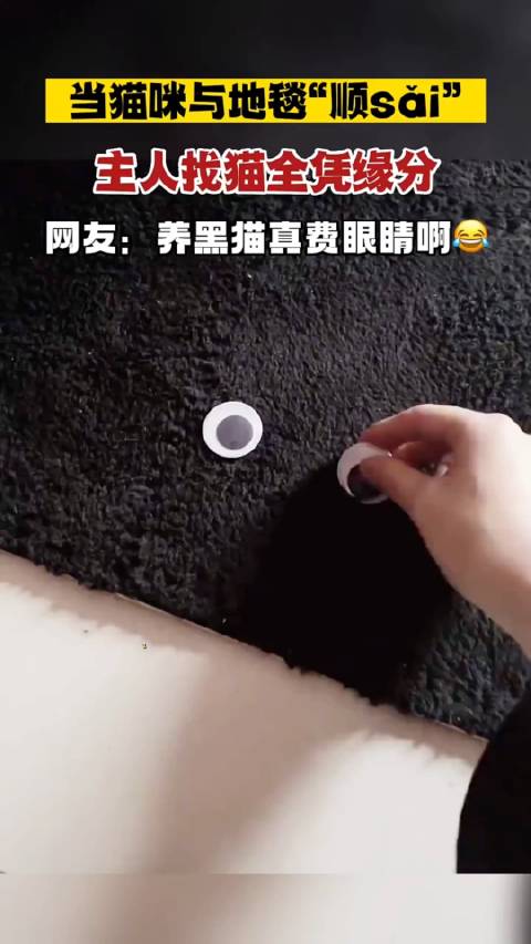 黑猫直播苹果版黑猫投诉官网入口