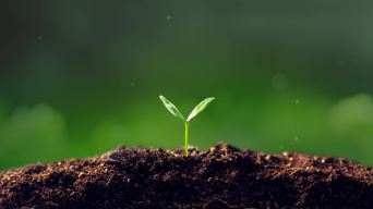 苹果版小草视频小草客户端永不迷路-第2张图片-太平洋在线下载