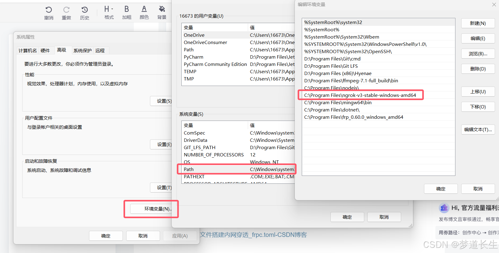 (内网穿透)客户端ngrok免费内网穿透-第2张图片-太平洋在线下载