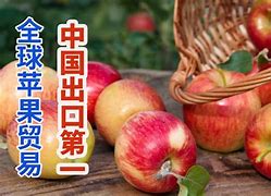 partying苹果版下载partying官网pc下载