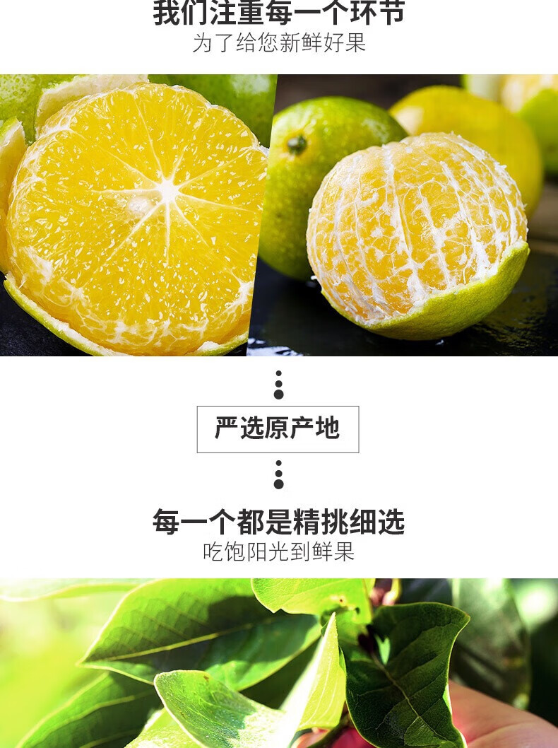 橘子优选苹果版下载长沙音乐电台橘子优选里的东西是正品吗-第2张图片-太平洋在线下载