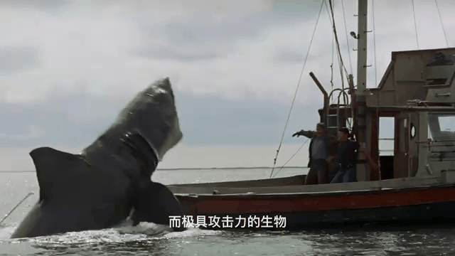 鲨鱼视频苹果版鲨鱼浏览器苹果版